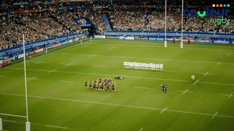 COULEUR - RUGBY WORLD CUP -