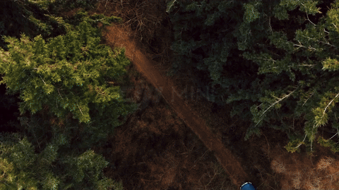 DJI/ALEX JACKSON - VIDEO YOUTUBE SPONSORISEE DJI MINI 3